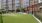 grass yard in front of an apartment building