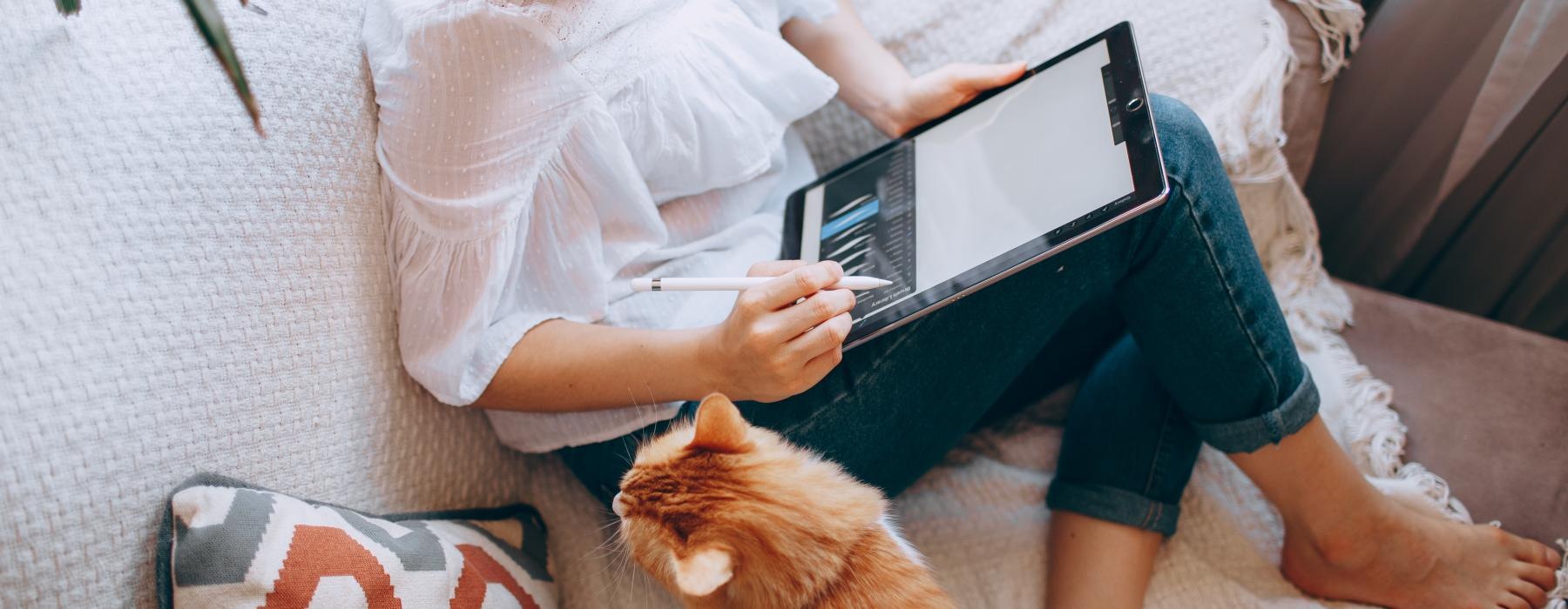 woman using a laptop on a couch next to  a cat